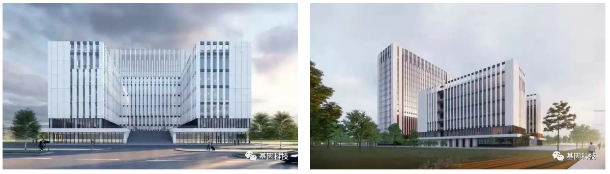 usdt游戏平台11.png